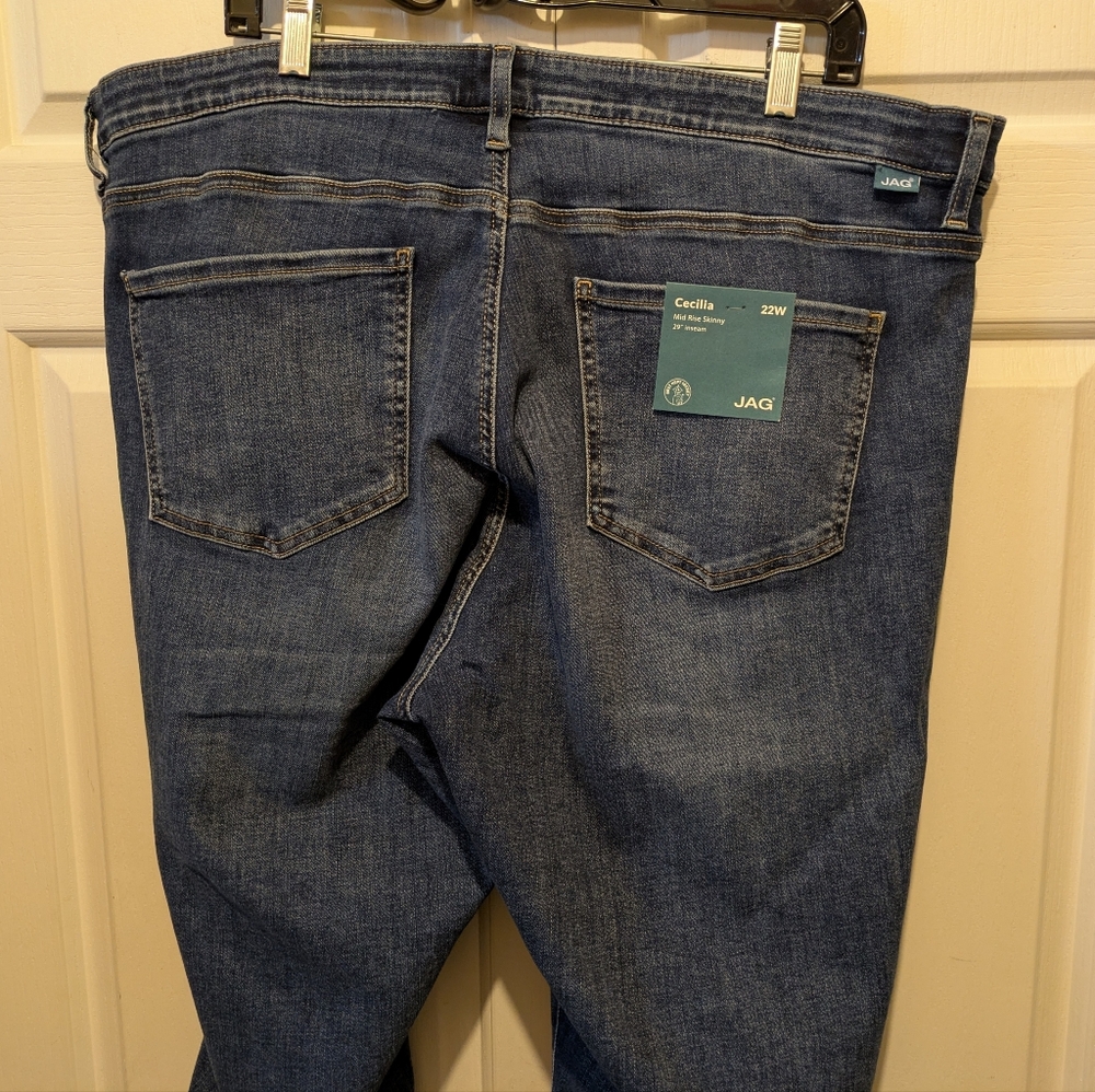 Jag Mid Rise Cecilia Skinny In Sky Blue Plus Size 22W New With Tags! - Picture 13 of 16